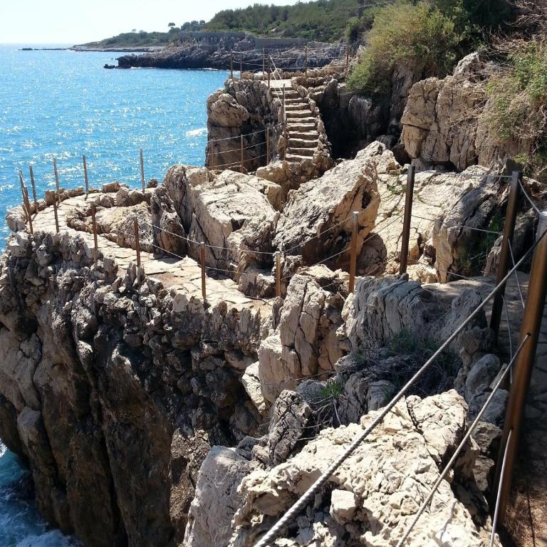 Studio Port Vauban Antibes - Studio - 6