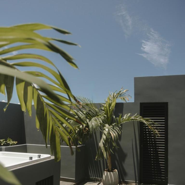 Tulum Luna Negra Penthouse 2BR - Apartamento de 2 dormitorios - 28