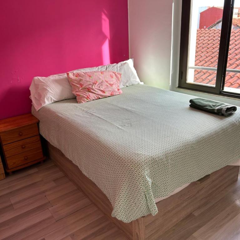 Vivienda rosa barrio húmedo - Apartamento - 5