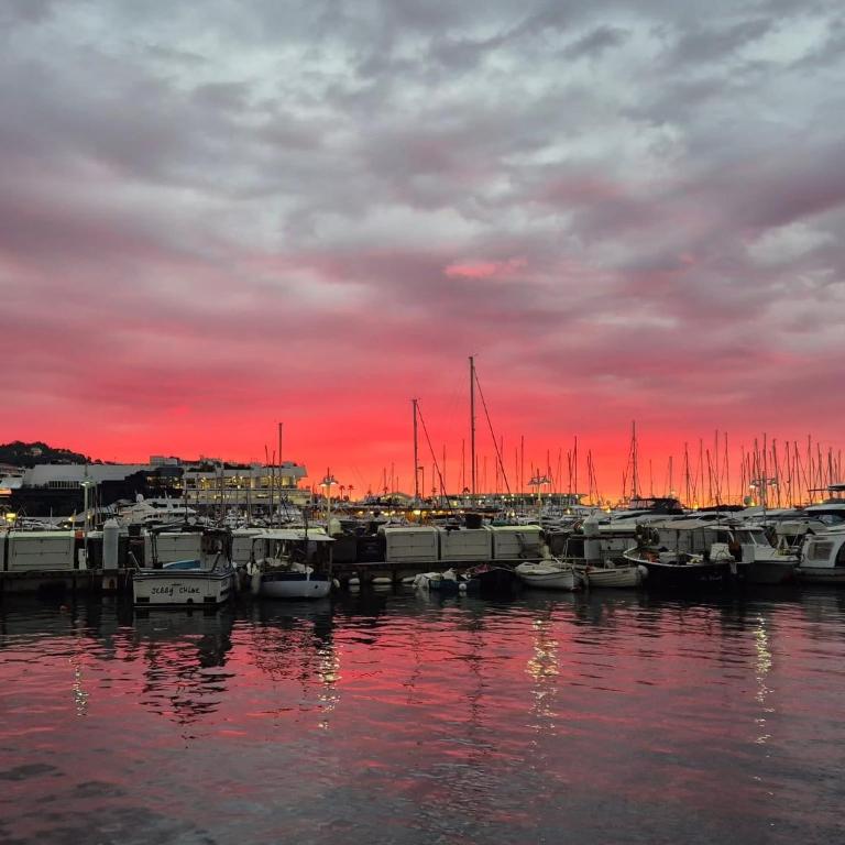Cannes South of France Apartment near beach, Palais des Festivals and Croisette - Apartment mit 1 Schlafzimmer - 31