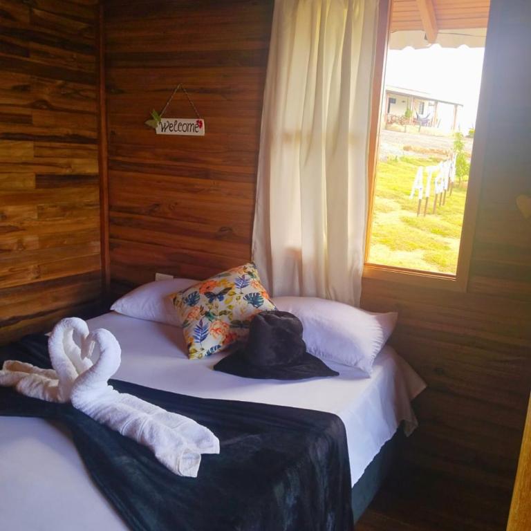 Gran Vista Glamping Curití - Habitación Doble con vistas a la piscina - 6