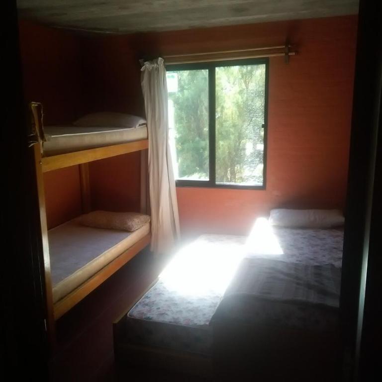 House with garden on the beach - Three-Bedroom House - 15