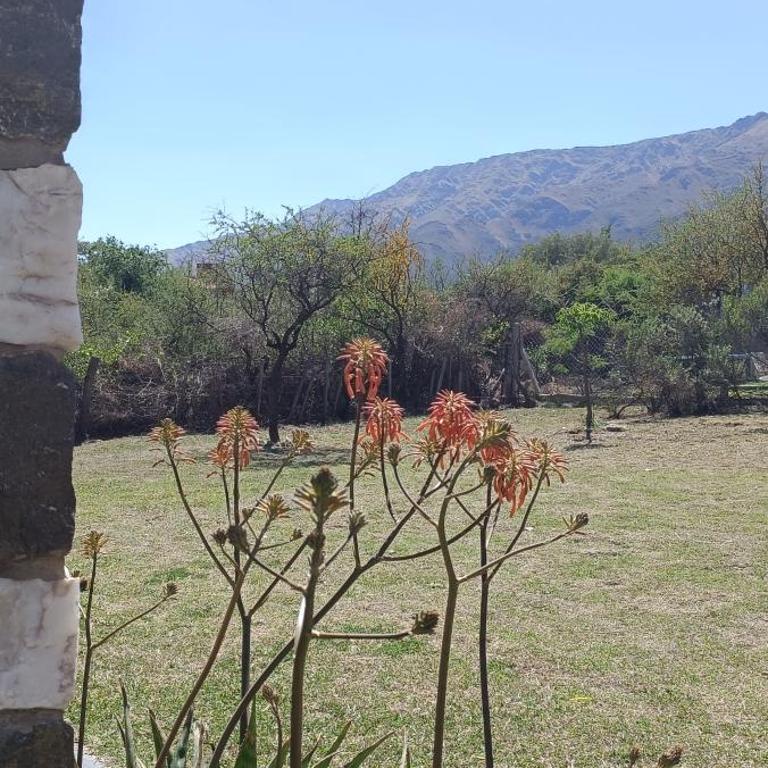 Rincón del Sol - Casa con 1 dormitorio - 14