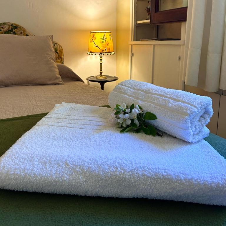 Bon Accord - Casa - 41