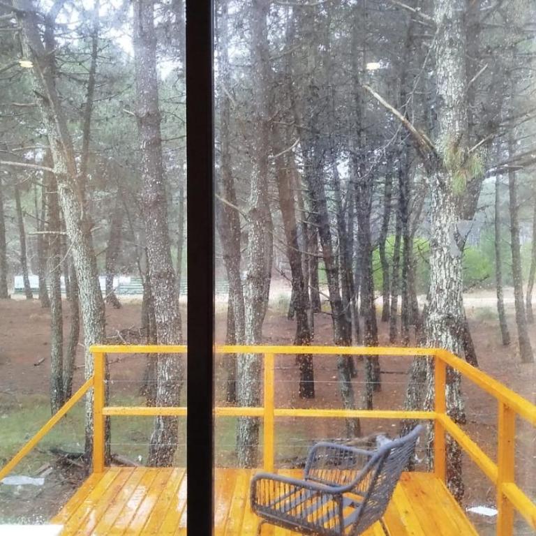 VILLAROBLES bosque y playa - Five-Bedroom House - 22
