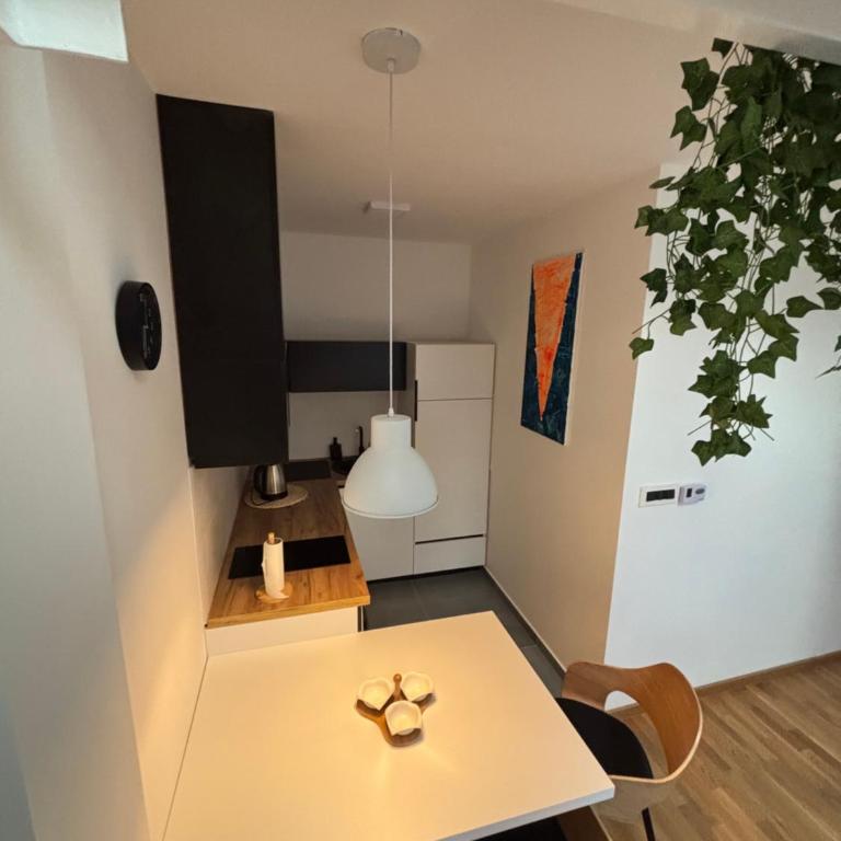 apartment V - Apartman sa 1 Spavaćom Sobom - 23