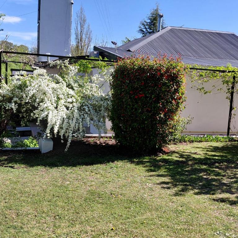 Cabañas Río - Chalet de 1 dormitorio - 25