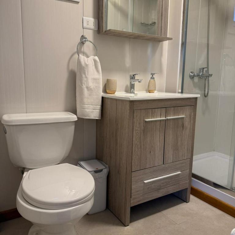 Cabañas AlSur Patagonia - Double Room with Terrace - 6