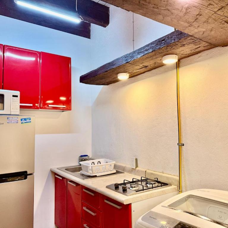 Tizapan 04 NEW 1BE&1BA - One-Bedroom Apartment - 1