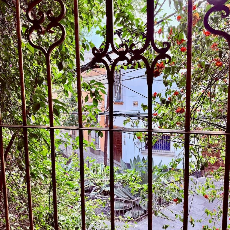 Tizapan 04 NEW 1BE&1BA - One-Bedroom Apartment - 6