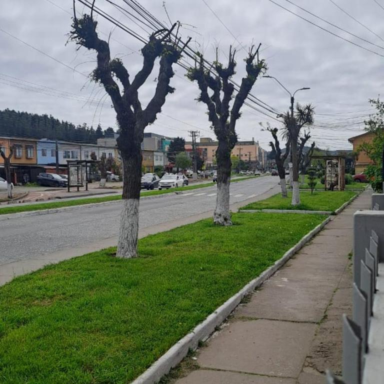 Hospedaje - Apart Hotel Las Higueras Talcahuano - Apartamento - 9