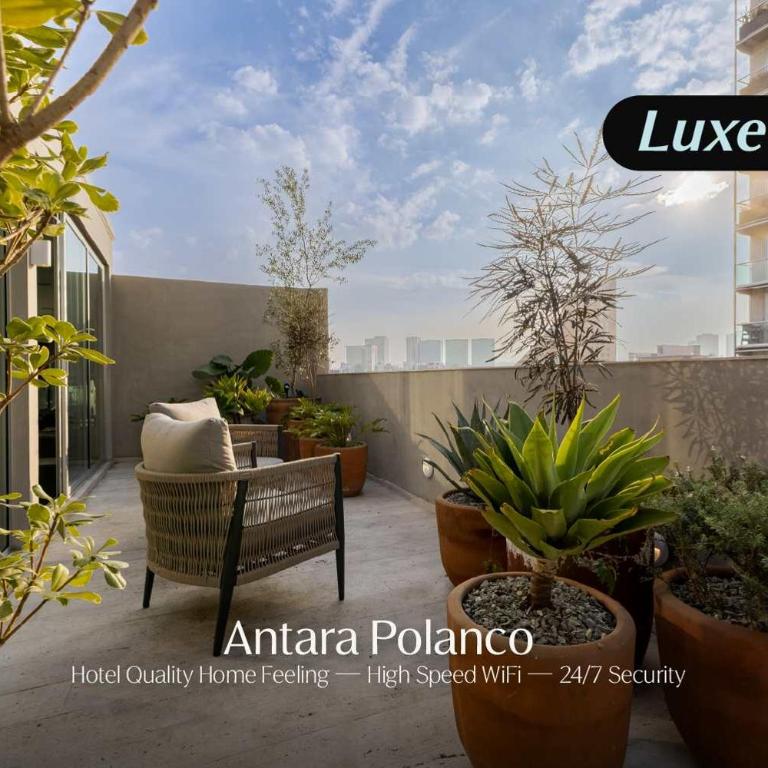 Capitalia Antara Polanco 404 - Apartment - 1