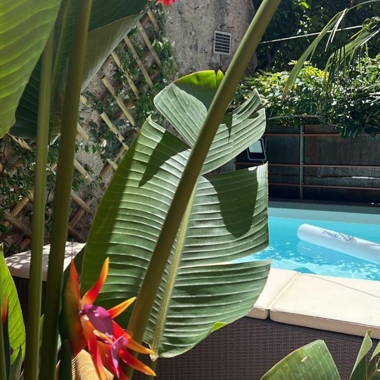 Very nice flat in Lerici 5 terre Villa Aurora in centro con parcheggio - Villa con Piscina Privata - 26