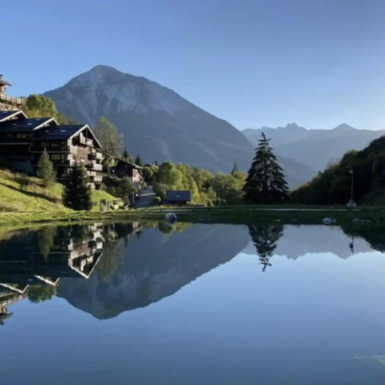 CHALET ALOUETTE Authentique Proche commerces et Pistes Nouveauté Sauna Privatif - Chalet - 4