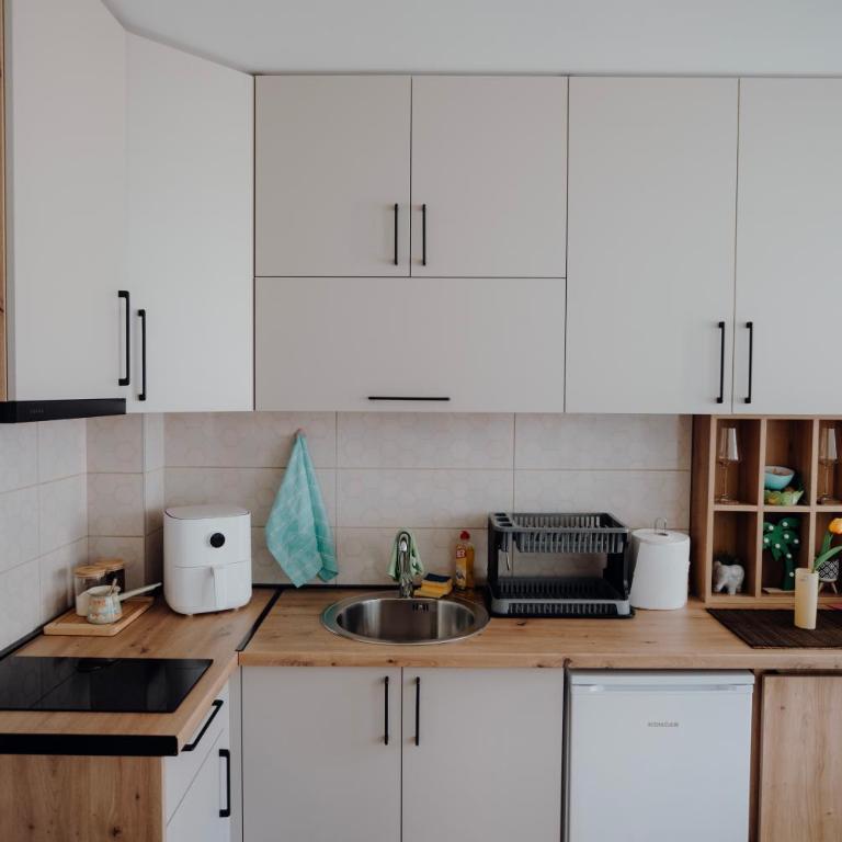 Studio 28 - Apartman sa 1 Spavaćom Sobom - 10