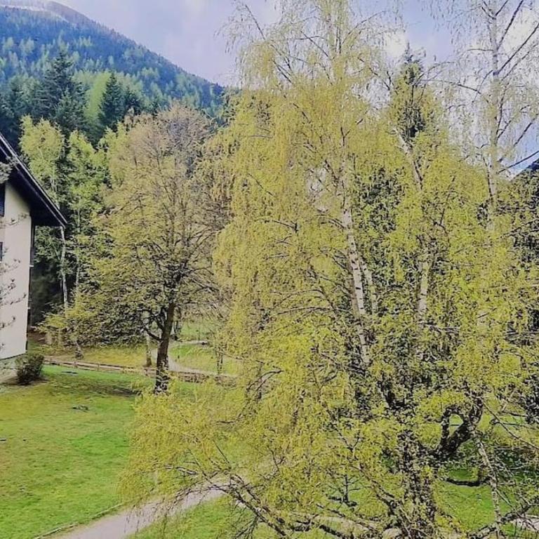 Alpenglück Apartment - Apartment mit 2 Schlafzimmern und Balkon - 3