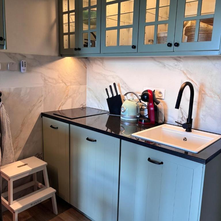 Magnifique studio à 250 mètres des pistes avec tout inclus - Appartement 1 Chambre - 4