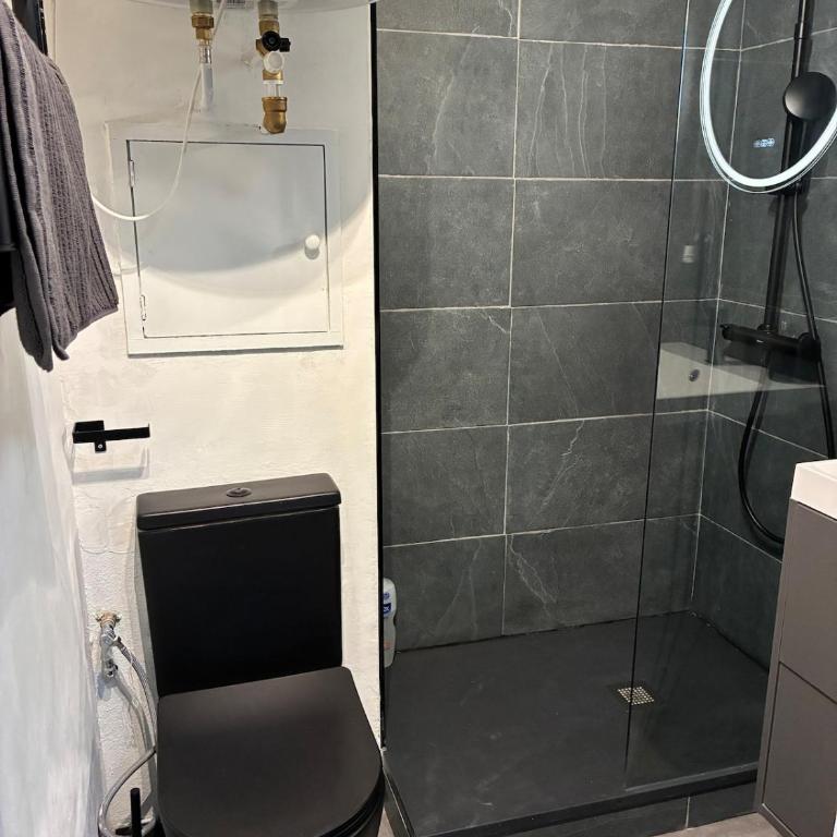 Magnifique studio à 250 mètres des pistes avec tout inclus - Appartement 1 Chambre - 5