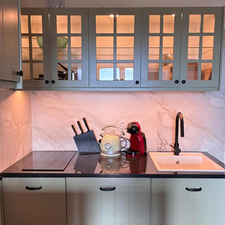 Magnifique studio à 250 mètres des pistes avec tout inclus - Appartement 1 Chambre - 6