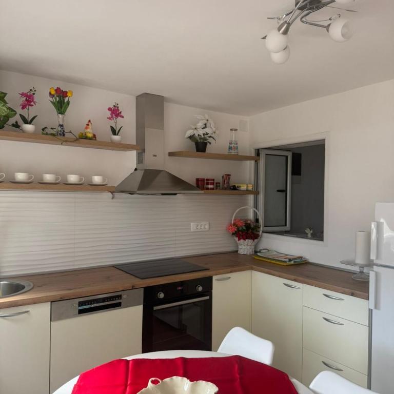 Apartman Ljubica - Apartman sa 1 Spavaćom Sobom - 9