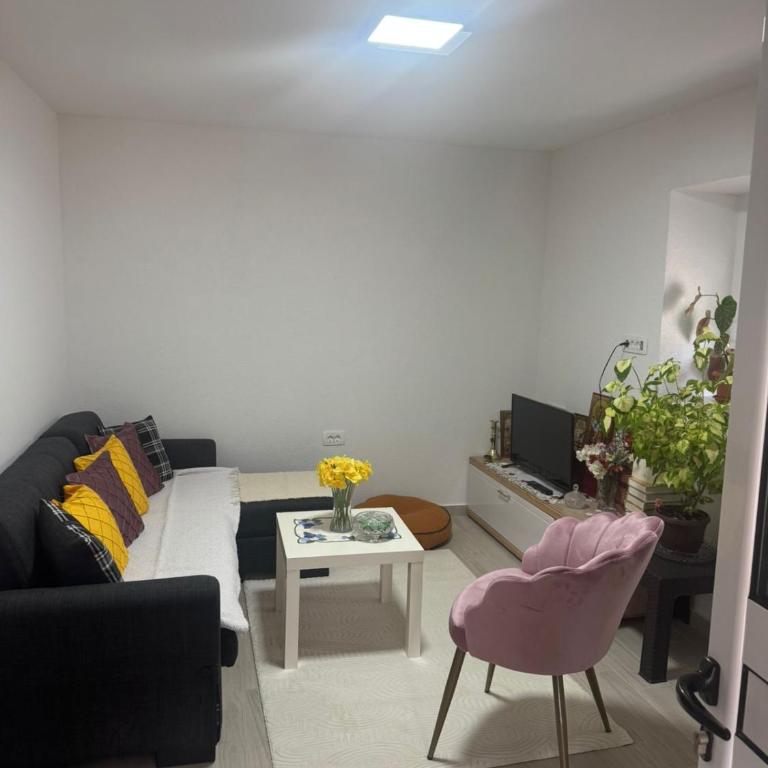Apartman Ljubica - Apartman sa 1 Spavaćom Sobom - 2