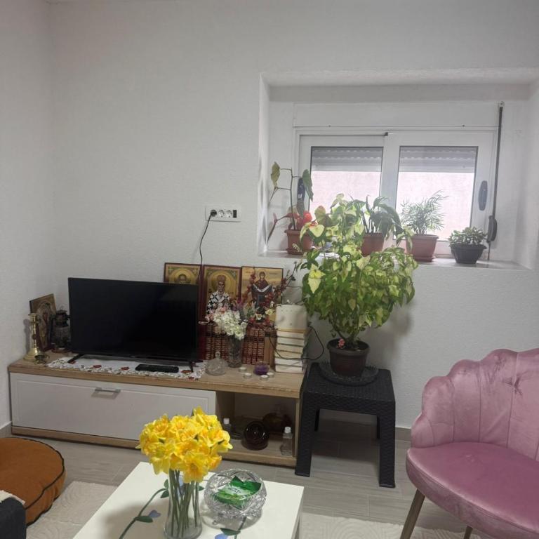 Apartman Ljubica - Apartman sa 1 Spavaćom Sobom - 5