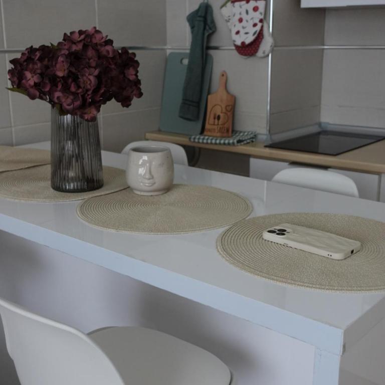 Stan u centru Niša, Obilićev venac - Apartman sa 1 Spavaćom Sobom - 9