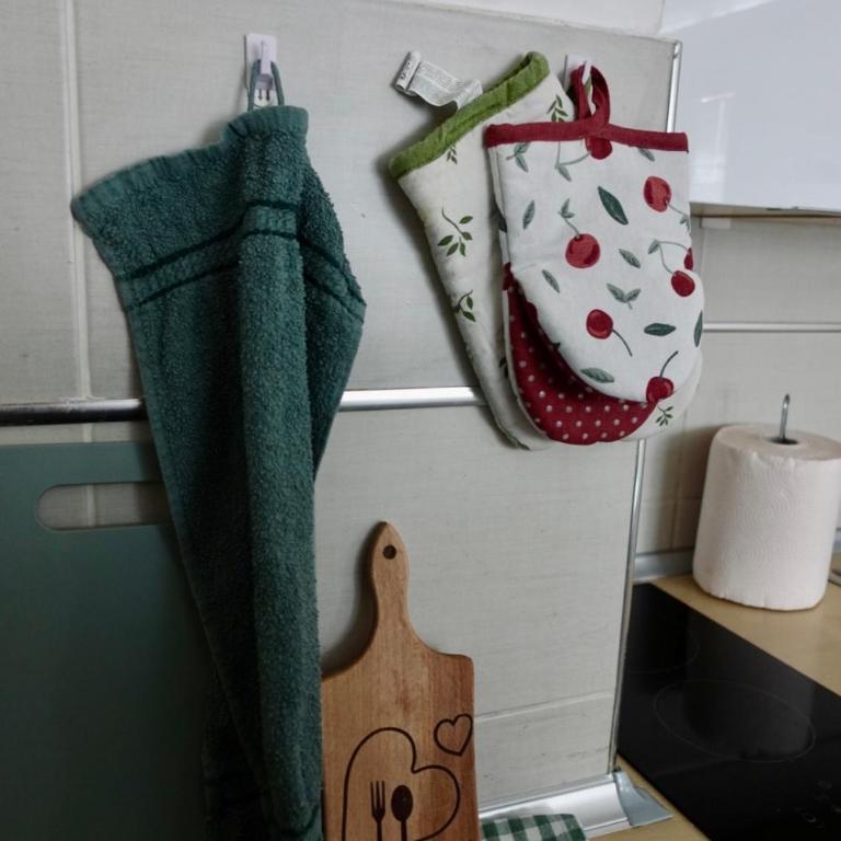 Stan u centru Niša, Obilićev venac - Apartman sa 1 Spavaćom Sobom - 10