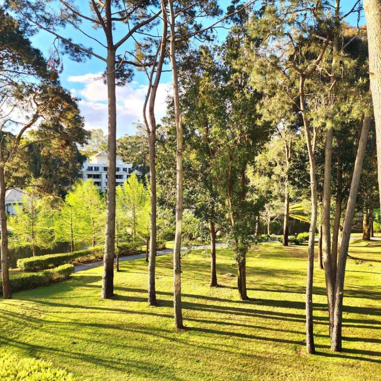 Green Park Complejo Solanas - Studio Apartment with Balcony - 13