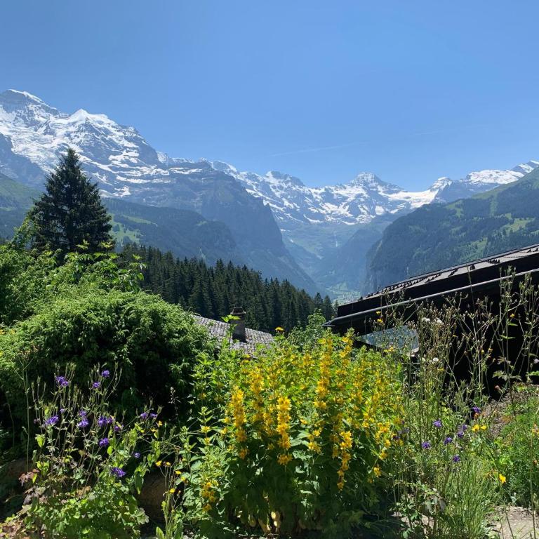 Cozy Chalet in Wengen with best views - Apartment mit 2 Schlafzimmern - 13