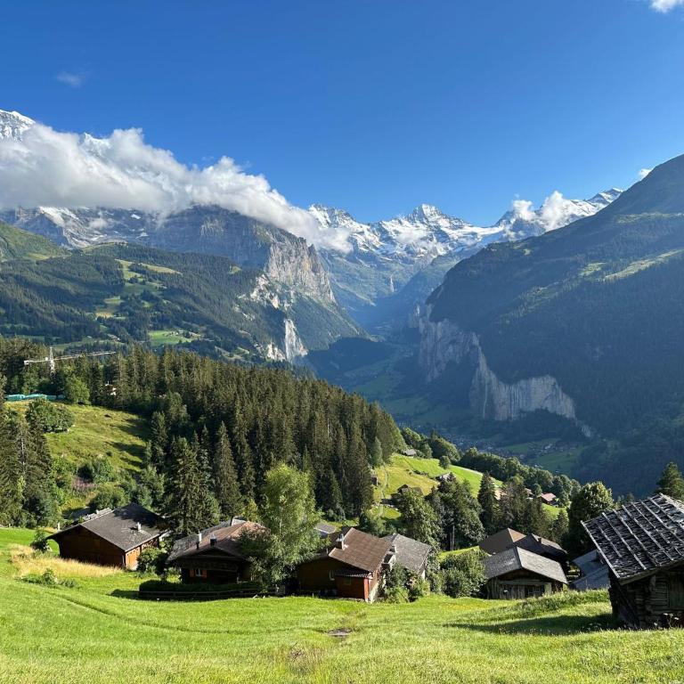 Cozy Chalet in Wengen with best views - Apartment mit 2 Schlafzimmern - 19