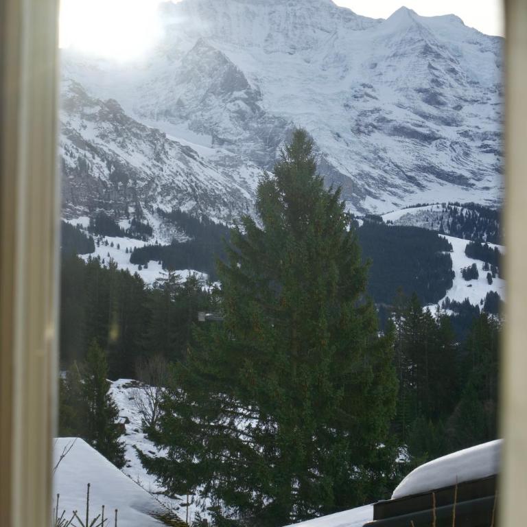 Cozy Chalet in Wengen with best views - Apartment mit 2 Schlafzimmern - 17