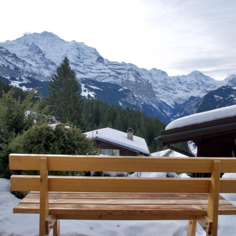 Cozy Chalet in Wengen with best views - Apartment mit 2 Schlafzimmern - 38