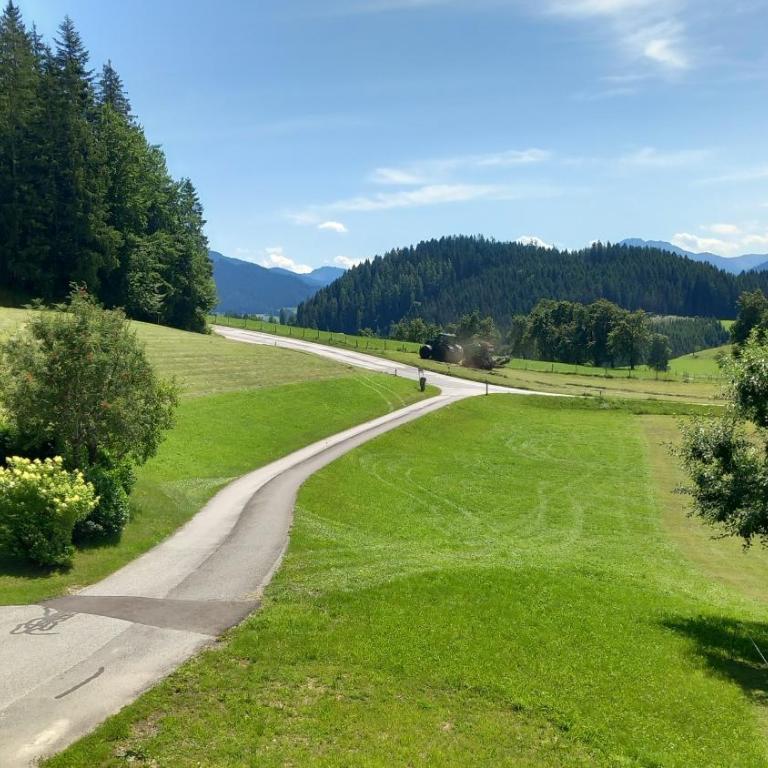 Urlaub auf den Land - Mühlauhof - Apartment mit 3 Schlafzimmern - 9