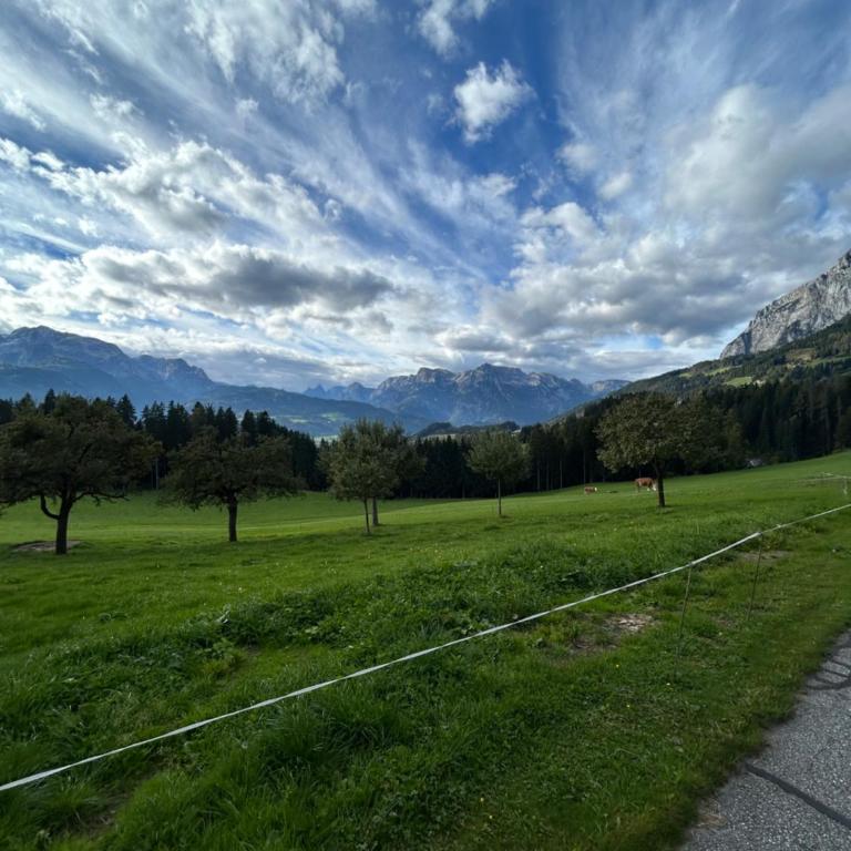 Urlaub auf den Land - Mühlauhof - Apartment mit 3 Schlafzimmern - 14