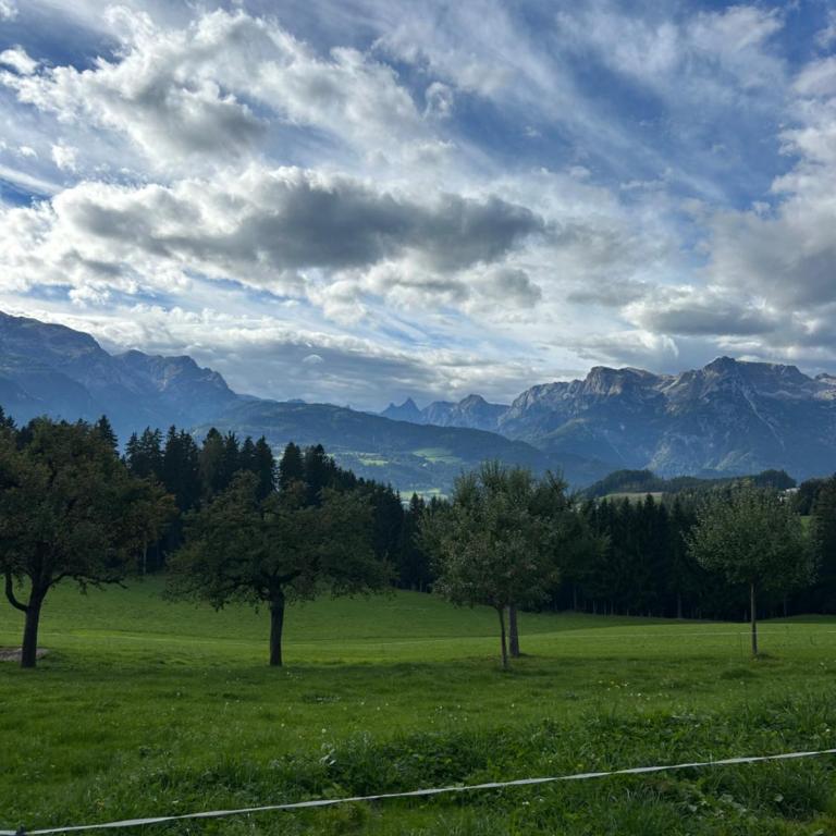 Urlaub auf den Land - Mühlauhof - Apartment mit 3 Schlafzimmern - 15
