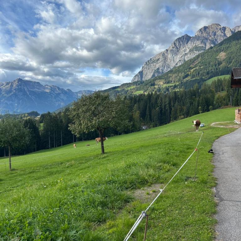 Urlaub auf den Land - Mühlauhof - Apartment mit 3 Schlafzimmern - 19