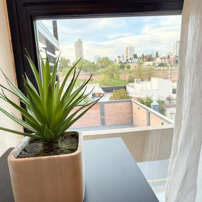 VELVET I - ALTOS de NEUQUEN - Apartamento de 1 dormitorio - 21