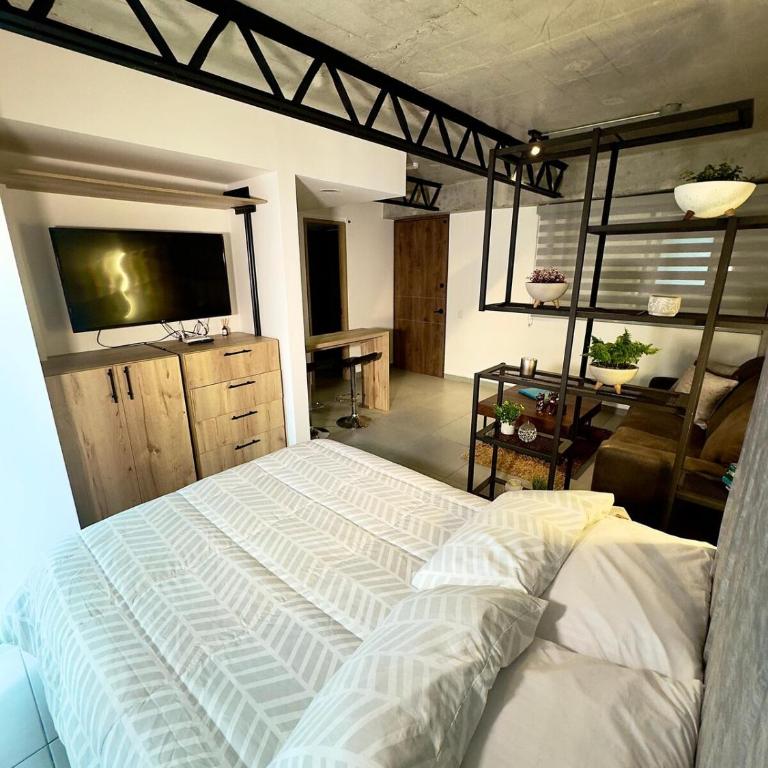 Apartaloft Zoho - Apartamento de 1 dormitorio - 1