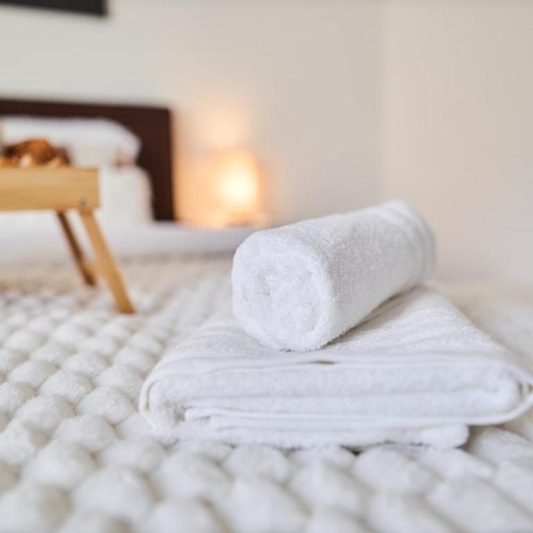 Le Cliquot - Maison - Spa - Jardin - Parking Gratuit - Villa 3 Chambres - 57
