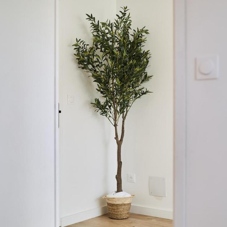 Le Cliquot - Maison - Spa - Jardin - Parking Gratuit - Villa 3 Chambres - 61