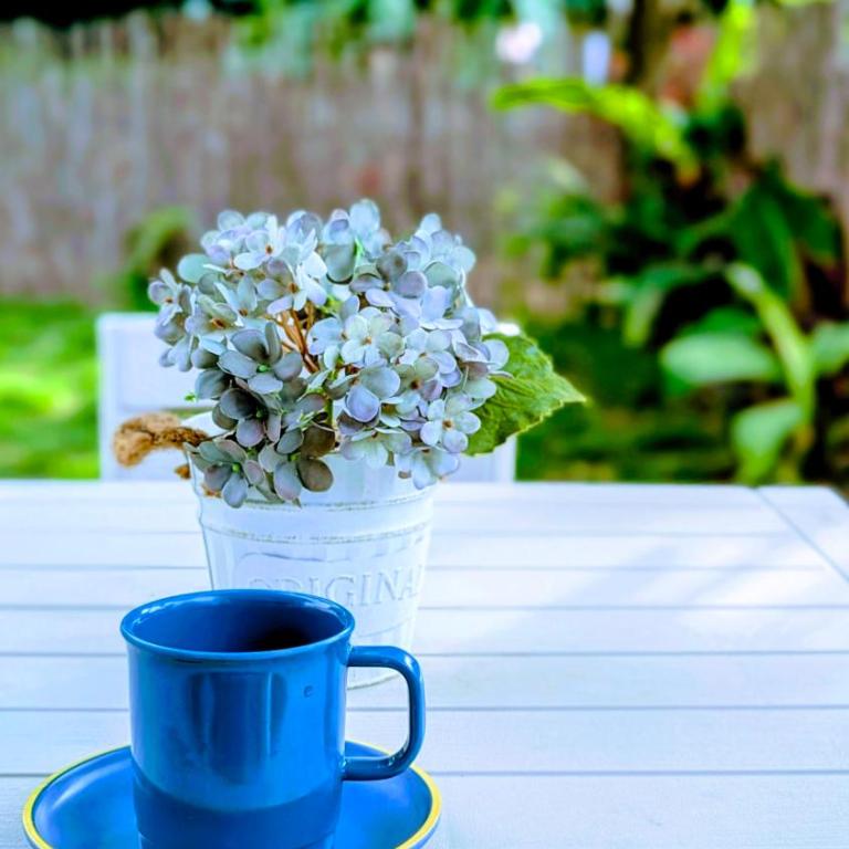 Casa Jaguar - Cabin Near Playa del Viento - Casa con 1 dormitorio - 18