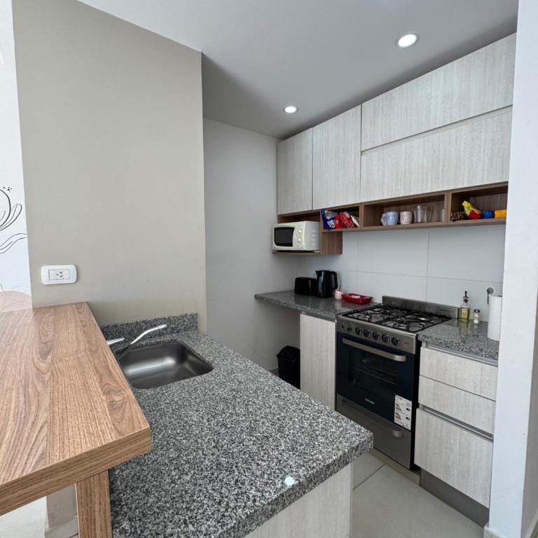 DEPARTAMENTO CENTRICO - Apartamento de 1 dormitorio - 12