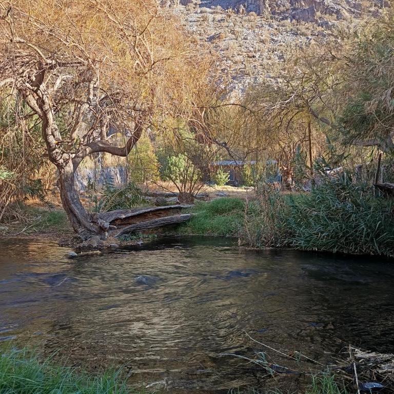 La cabaña del rio Rivadavia - Casa de 2 dormitorios - 1