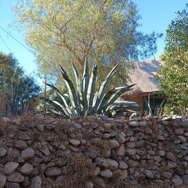 La cabaña del rio Rivadavia - Casa de 2 dormitorios - 15