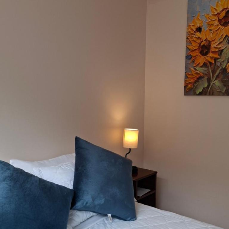 Hotel Shannon 360 - Deluxe Room - 1