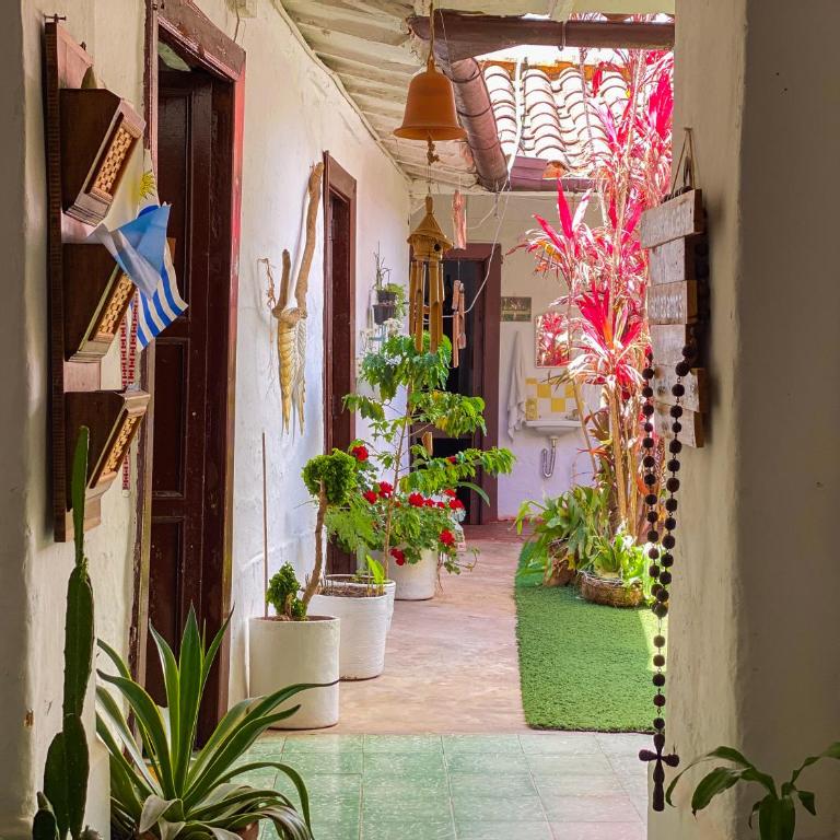 CASA MAGIA by Magally Velasco - Casa de 4 dormitorios - 10