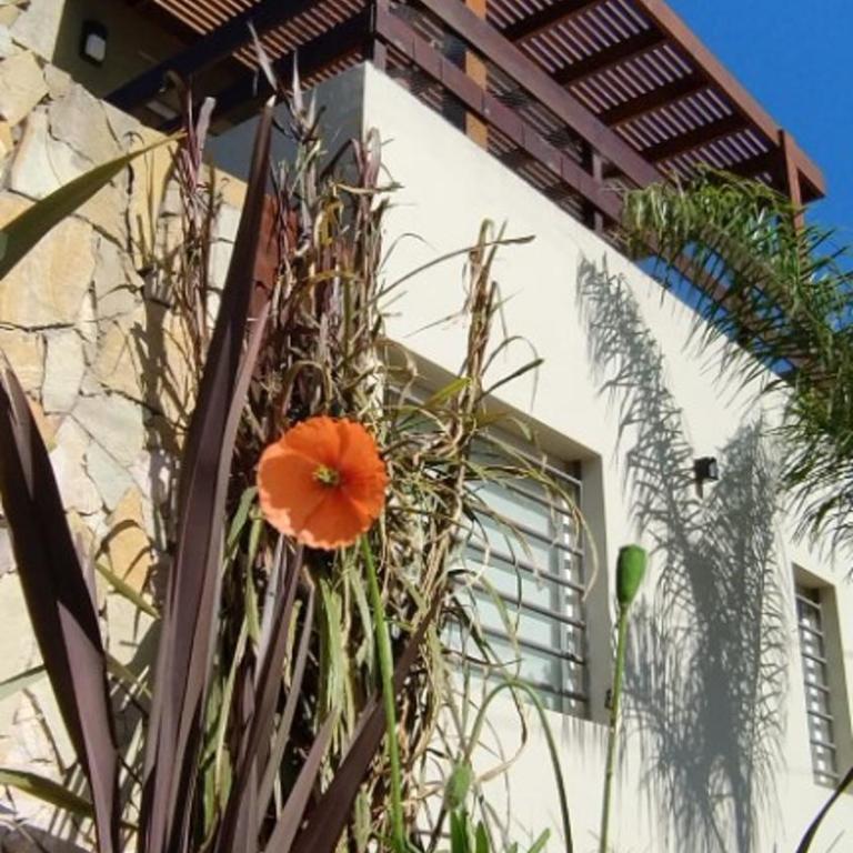 Cerquita del Mar ! - Apartamento de 1 dormitorio - 1
