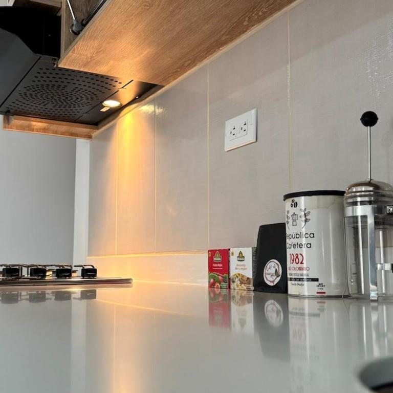 Exclusive Loft in Álamos - Two-Bedroom Apartment - 33