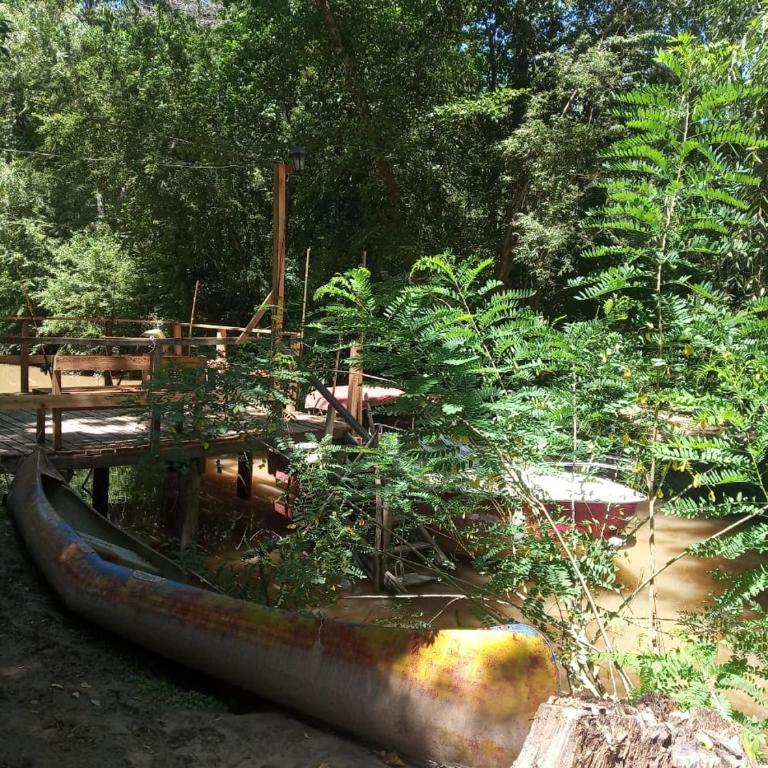 La Morenita del Delta - Casa de 2 dormitorios - 6